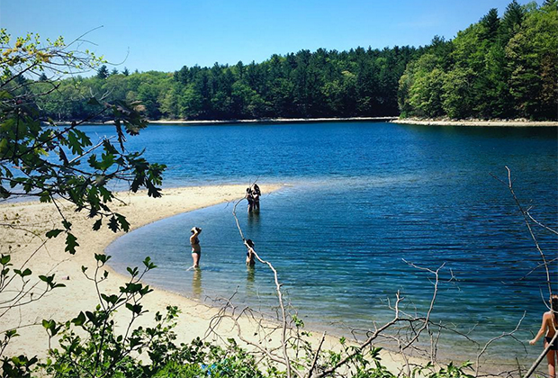 Visiting Walden Pond is perfect for enjoying nature and having fun in the sun!