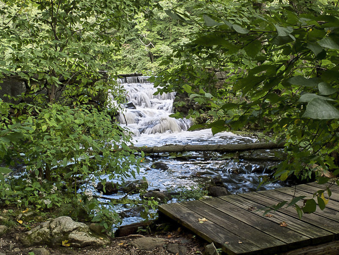 Image of trail along a waterfall at Bartlett Arboretum.