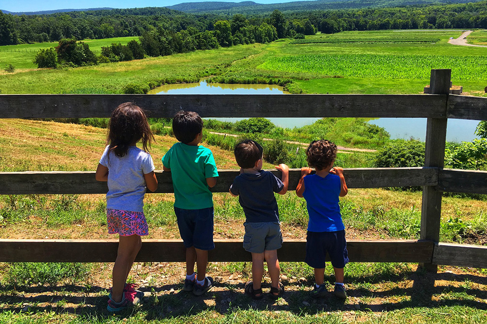 Kelder's Farm. Visiting the Hudson Valley with Kids: 3-Day Itinerary from a Local