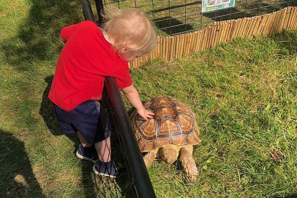 There are tons of great things to do in Westchester and the Hudson Valley with babies, including visits to petting zoos.
