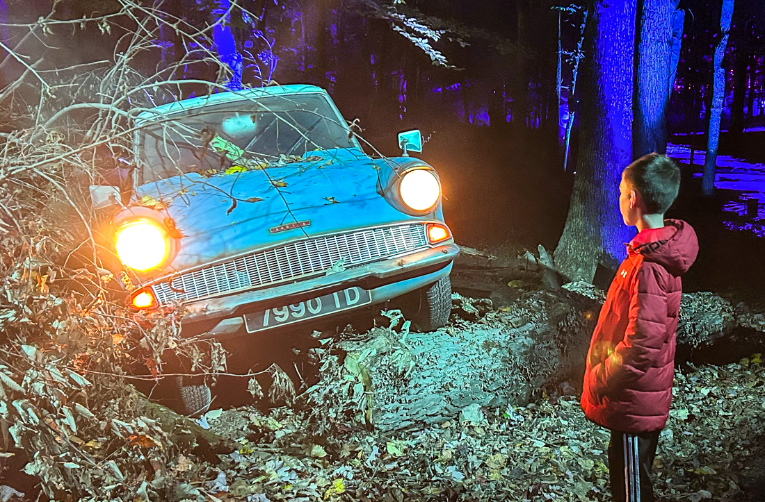 Harry Potter: A Forbidden Forest Experience: Weasleys' car