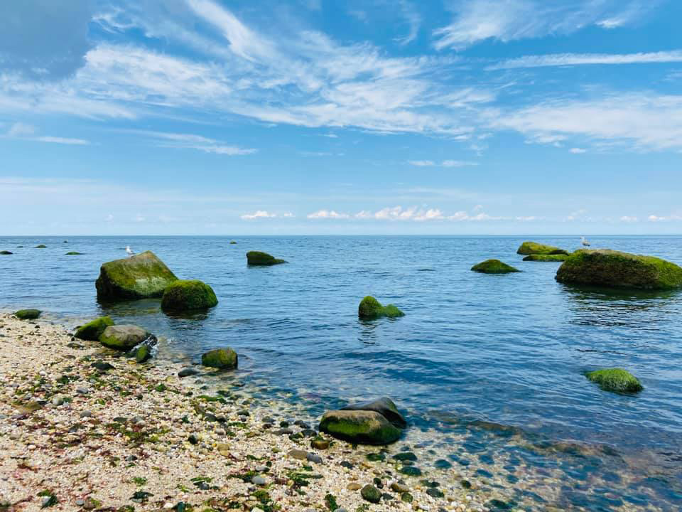 A rocky shoreline greets visitors at Wildwood State Park