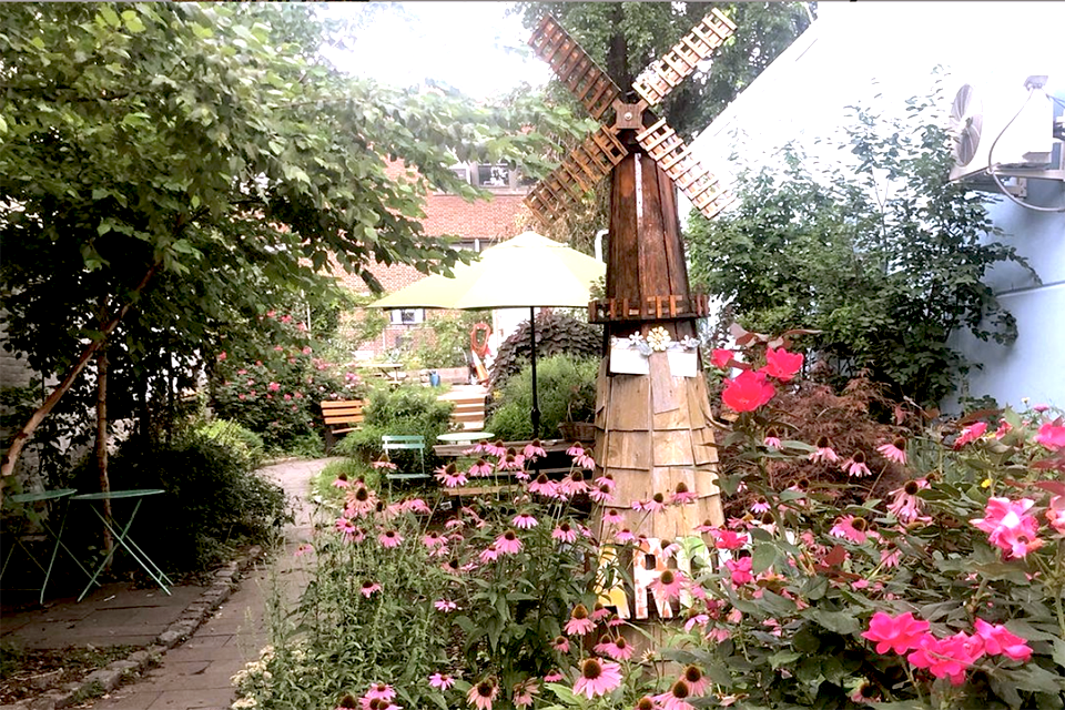Windmill Community Garden is a secret oasis