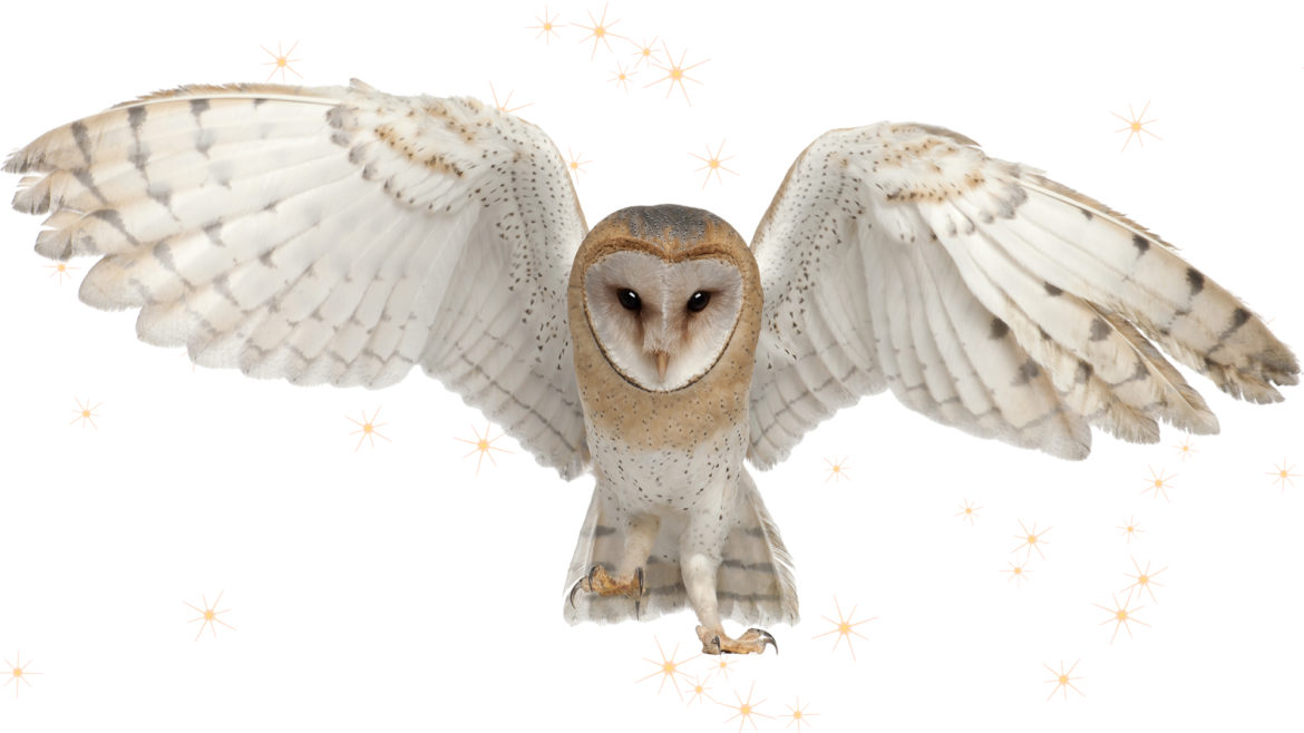 It's all about spells and mystical animals at Wizarding Day. Photo courtesy of Franklin Park Zoo