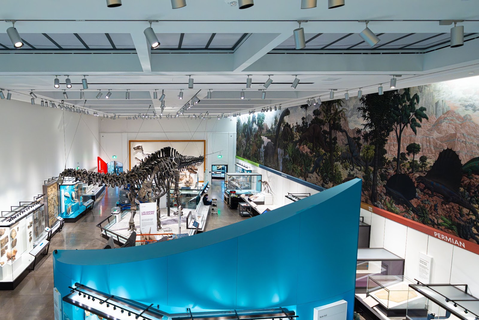 Yale University's Peabody Museum reopens after a stunning renovation, and admission is free! Photo  courtesy of the Peabody Museum, Yale University.