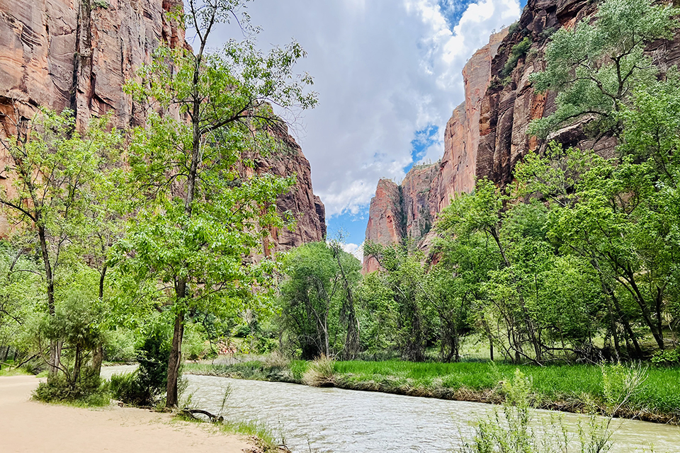 Zion National Park: A Guide for Families: Pa’rus Trail at Zion